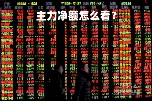 主力净额怎么看？