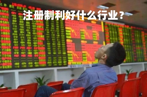注册制利好什么行业？