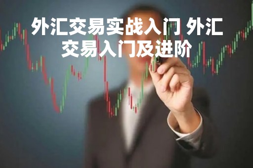 外汇交易实战入门 外汇交易入门及进阶