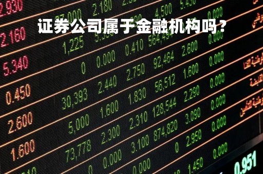 证券公司属于金融机构吗？