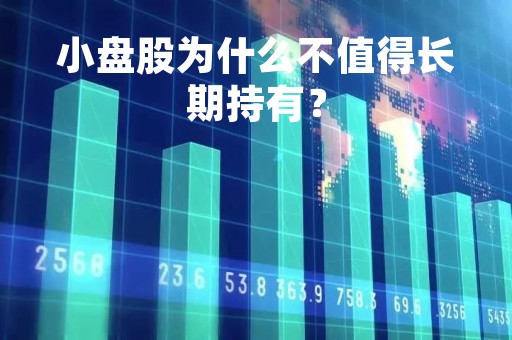 小盘股为什么不值得长期持有？
