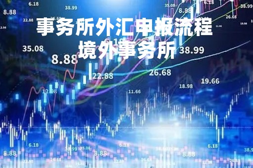 事务所外汇申报流程 境外事务所