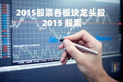 2015股票各板块龙头股 2015 股票