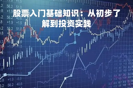 股票入门基础知识：从初步了解到投资实践