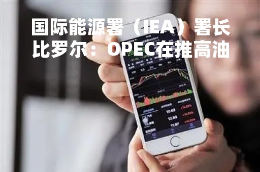 国际能源署（IEA）署长比罗尔：OPEC在推高油价方面需要非常谨慎