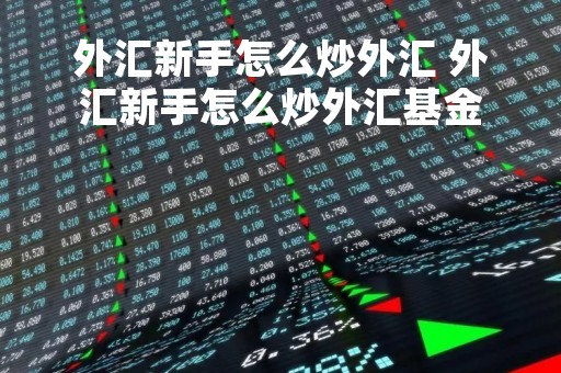 外汇新手怎么炒外汇 外汇新手怎么炒外汇基金