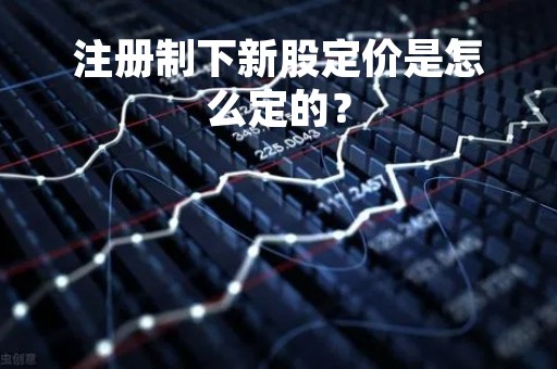 注册制下新股定价是怎么定的？