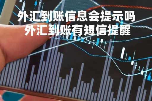 外汇到账信息会提示吗 外汇到账有短信提醒吗