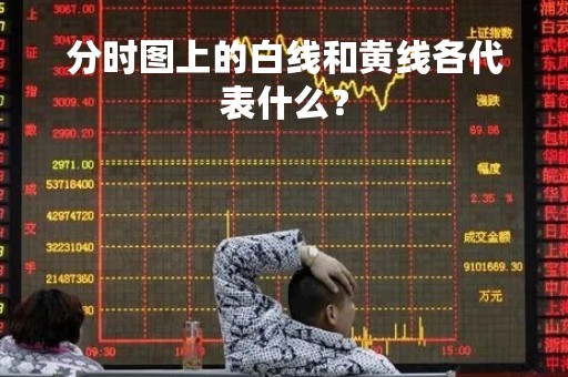 分时图上的白线和黄线各代表什么？