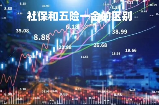社保和五险一金的区别