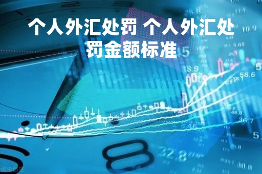 个人外汇处罚 个人外汇处罚金额标准