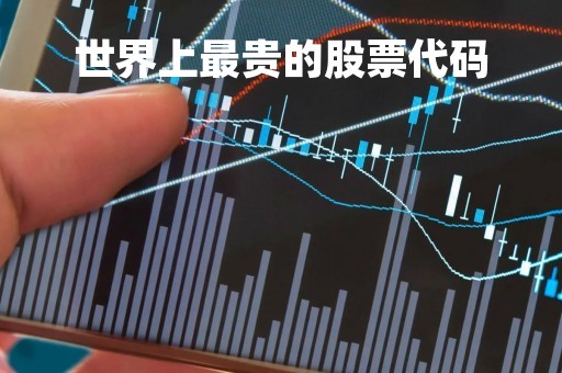 世界上最贵的股票代码「世界上最贵的十大股票名字」