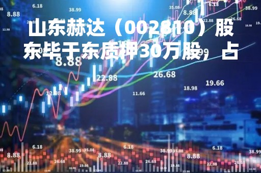 山东赫达（002810）股东毕于东质押30万股，占总股本0.09%