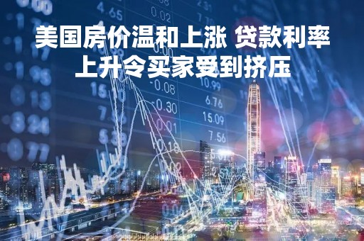 美国房价温和上涨 贷款利率上升令买家受到挤压
