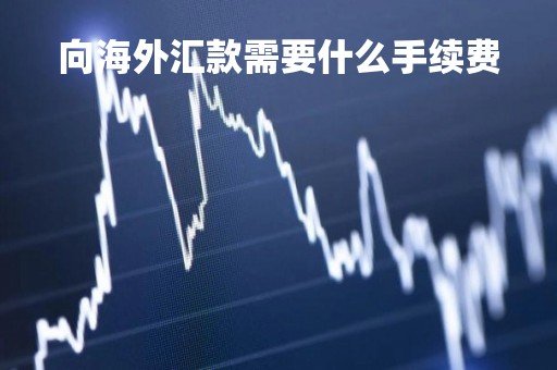 向海外汇款需要什么手续费「海外向国内汇款新政策」