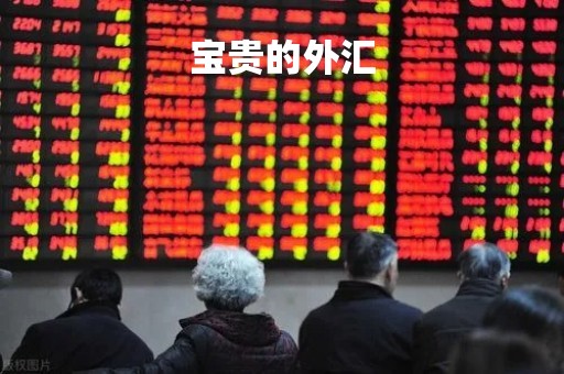 宝贵的外汇「外汇贵金属是什么」