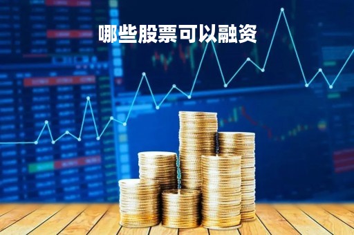 哪些股票可以融资「哪些股票可以融资融券怎么看」