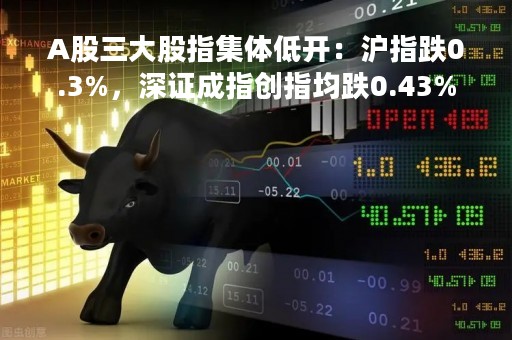 A股三大股指集体低开：沪指跌0.3%，深证成指创指均跌0.43%