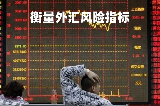衡量外汇风险指标「衡量外汇风险指标有哪些」