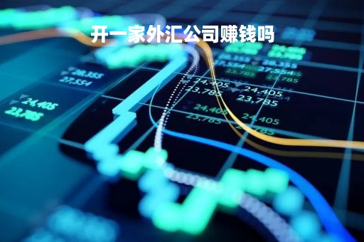 开一家外汇公司赚钱吗「开外汇公司属于合法吗」