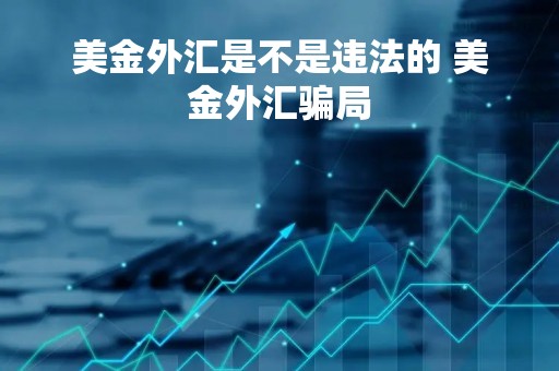 美金外汇是不是违法的 美金外汇骗局