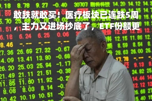 敢跌就敢买！医疗板块已连跌5周，主力又进场抄底了，ETF份额更是逼近新高
