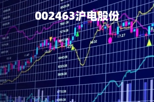 002463沪电股份