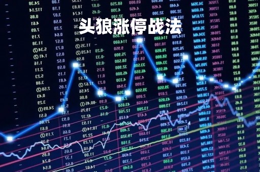 头狼涨停战法