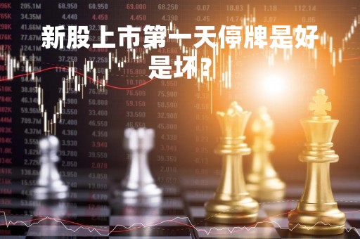 新股上市第一天停牌是好是坏？