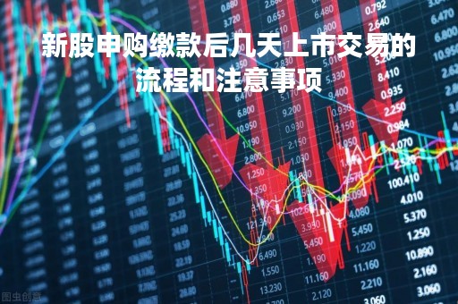新股申购缴款后几天上市交易的流程和注意事项