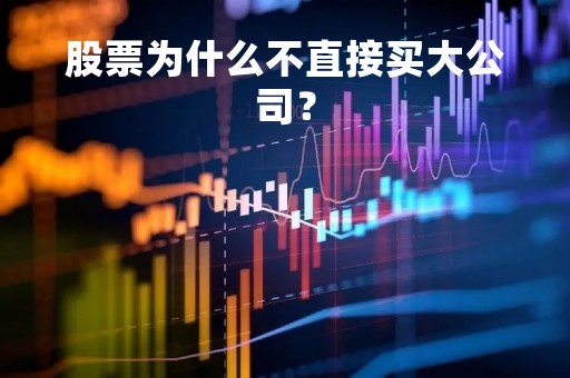 股票为什么不直接买大公司？