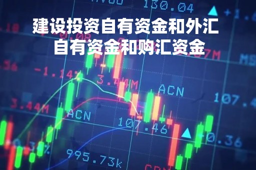 建设投资自有资金和外汇 自有资金和购汇资金