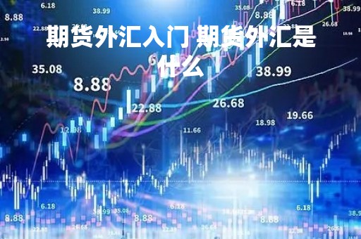 期货外汇入门 期货外汇是什么