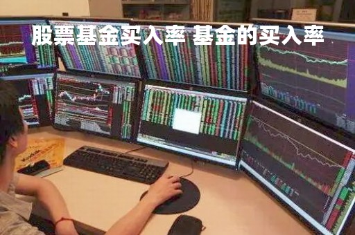 股票基金买入率 基金的买入率