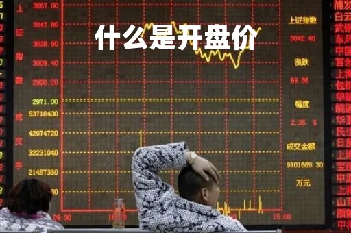 什么是开盘价