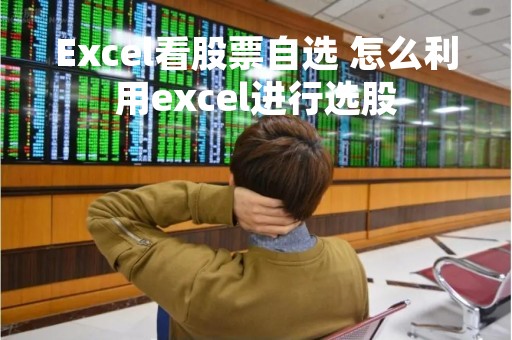 Excel看股票自选 怎么利用excel进行选股