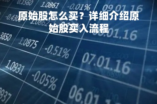 原始股怎么买？详细介绍原始股买入流程