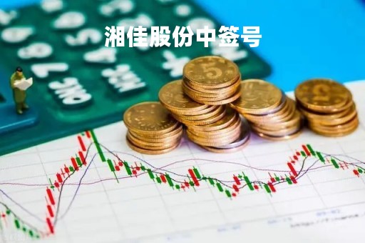 湘佳股份中签号