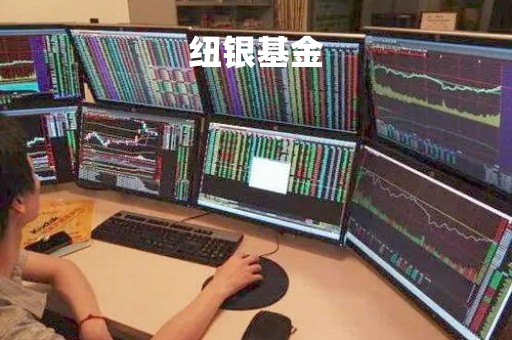 纽银基金