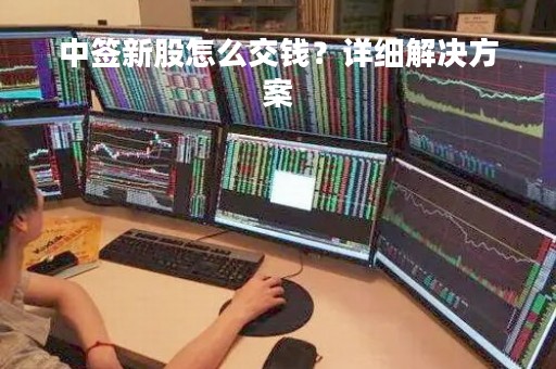 中签新股怎么交钱?详细解决方案 中签新股怎么交钱?详细解决方案