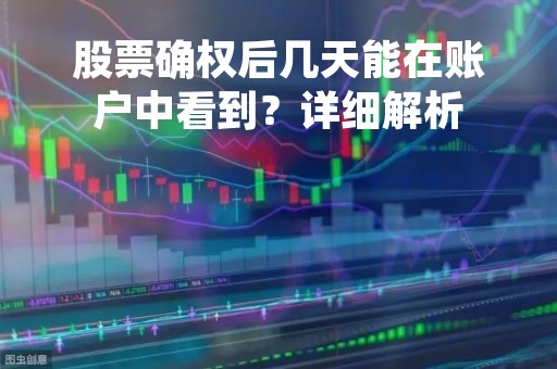 股票确权后几天能在账户中看到？详细解析