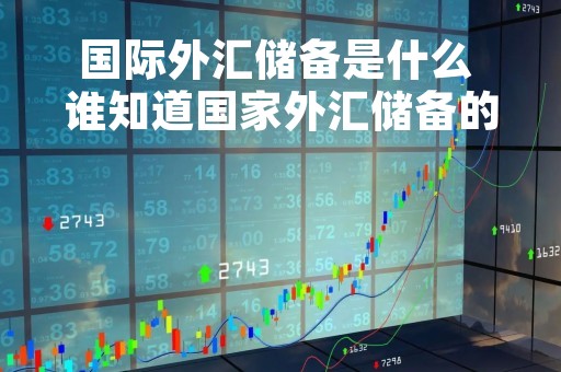 国际外汇储备是什么 谁知道国家外汇储备的来源,以及使用?