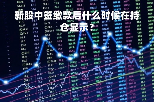 新股中签缴款后什么时候在持仓显示？