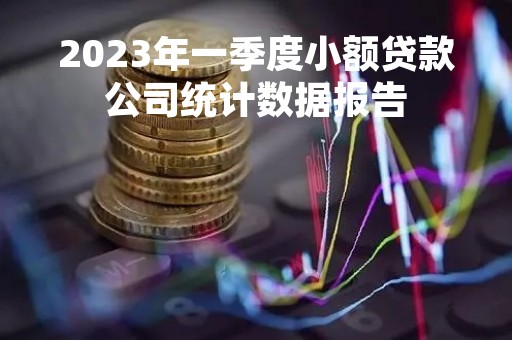 2023年一季度小额贷款公司统计数据报告