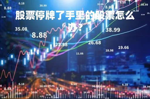 股票停牌了手里的股票怎么办？