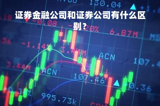 证券金融公司和证券公司有什么区别？