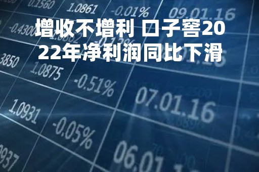 增收不增利 口子窖2022年净利润同比下滑10.24%