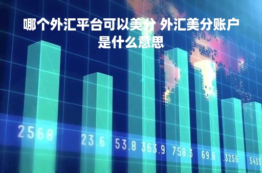 哪个外汇平台可以美分 外汇美分账户是什么意思