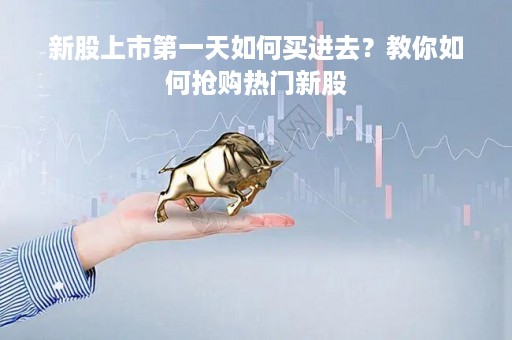 新股上市第一天如何买进去？教你如何抢购热门新股