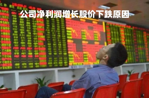 公司净利润增长股价下跌原因
